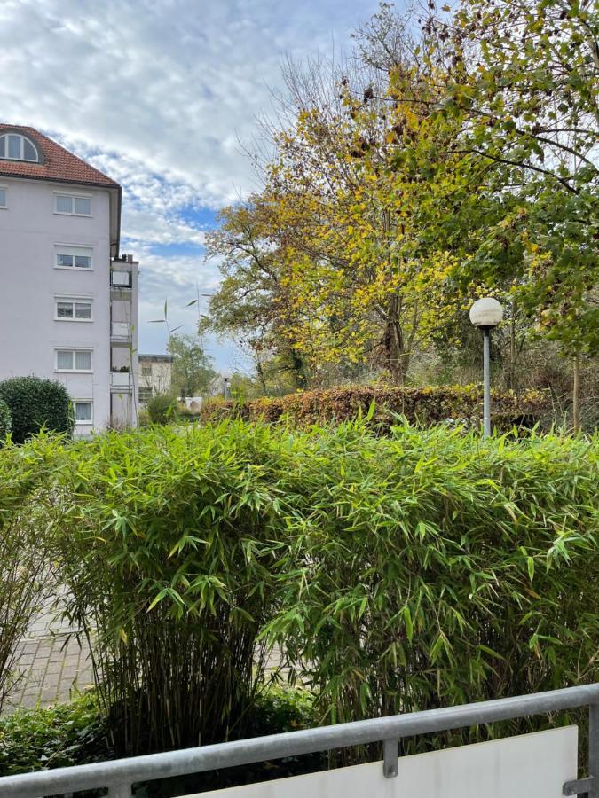 Apartment Rot-Kreuz Bad Säckingen Eksteriør bilde